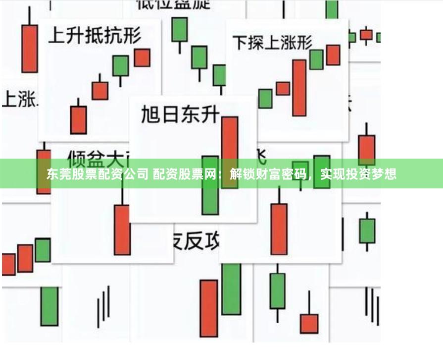 东莞股票配资公司 配资股票网：解锁财富密码，实现投资梦想