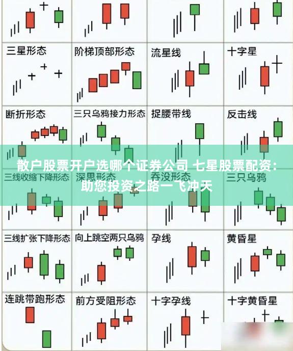 散户股票开户选哪个证券公司 七星股票配资：助您投资之路一飞冲天