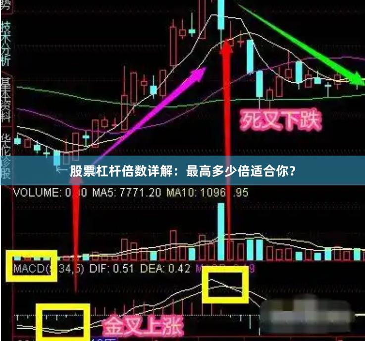 股票杠杆倍数详解：最高多少倍适合你？